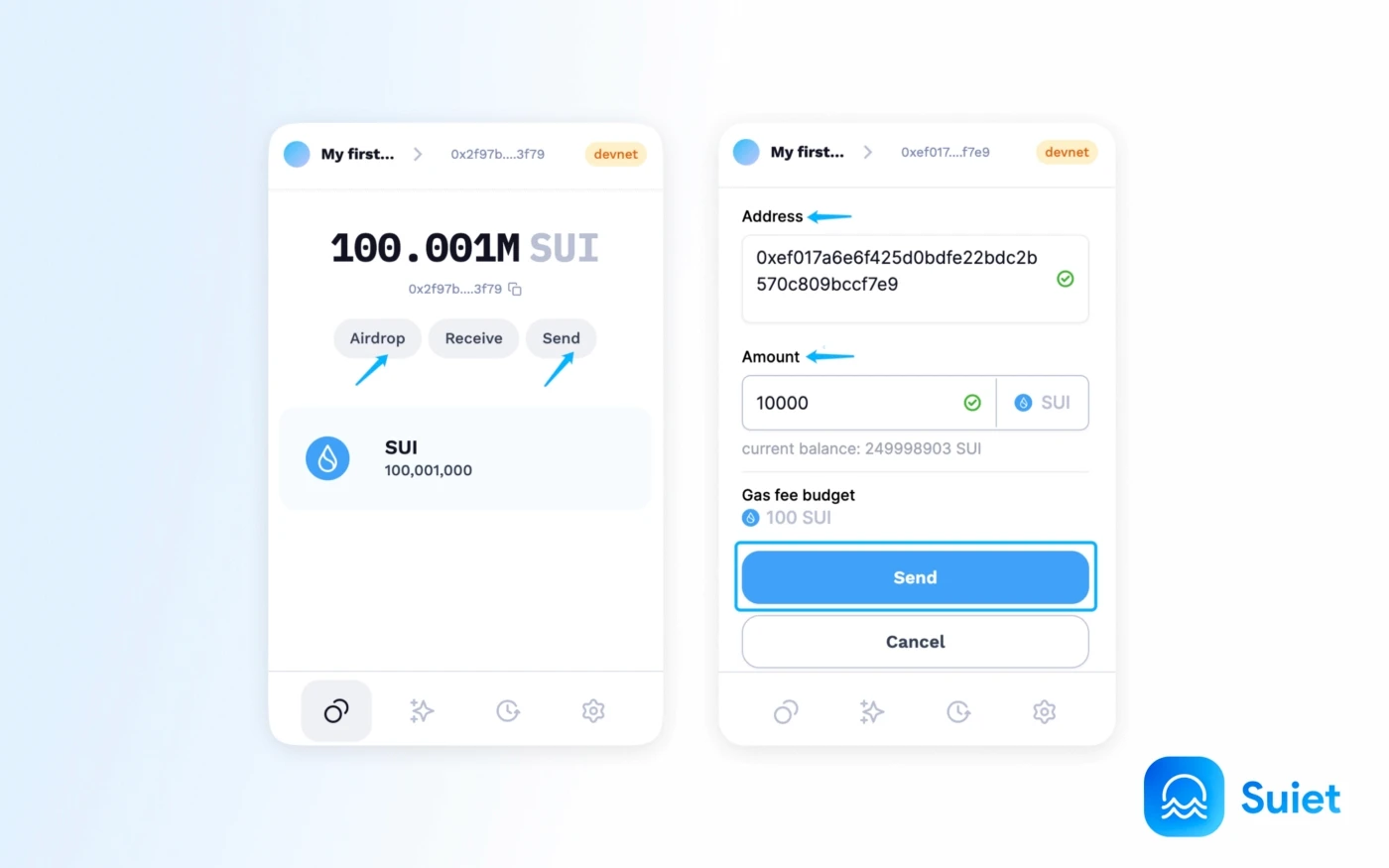 Make SUI
Transactions